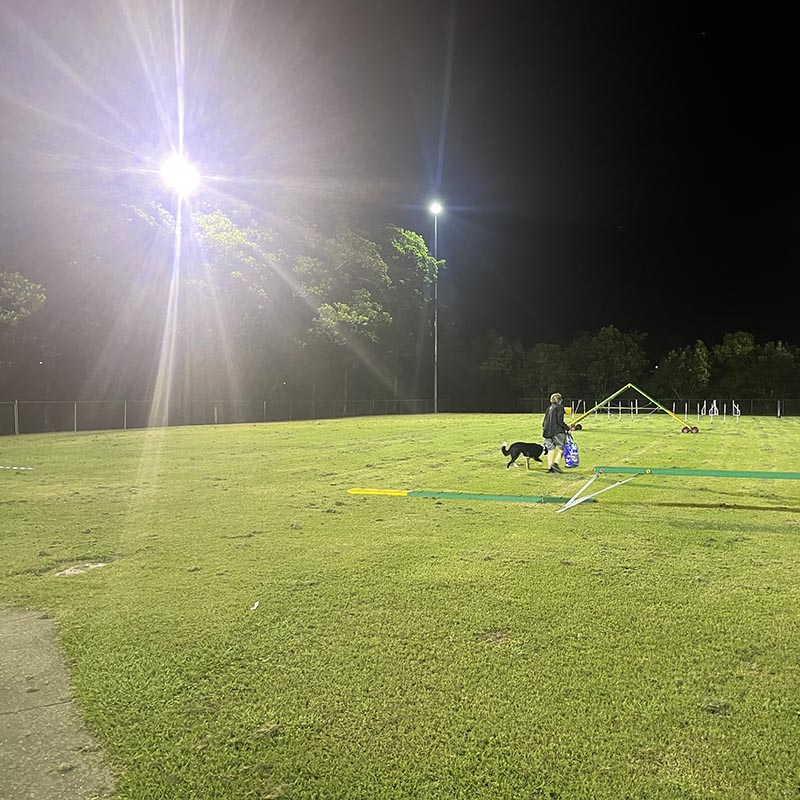 Pine Agility Dog Sports Club Lighting Upgrade​​